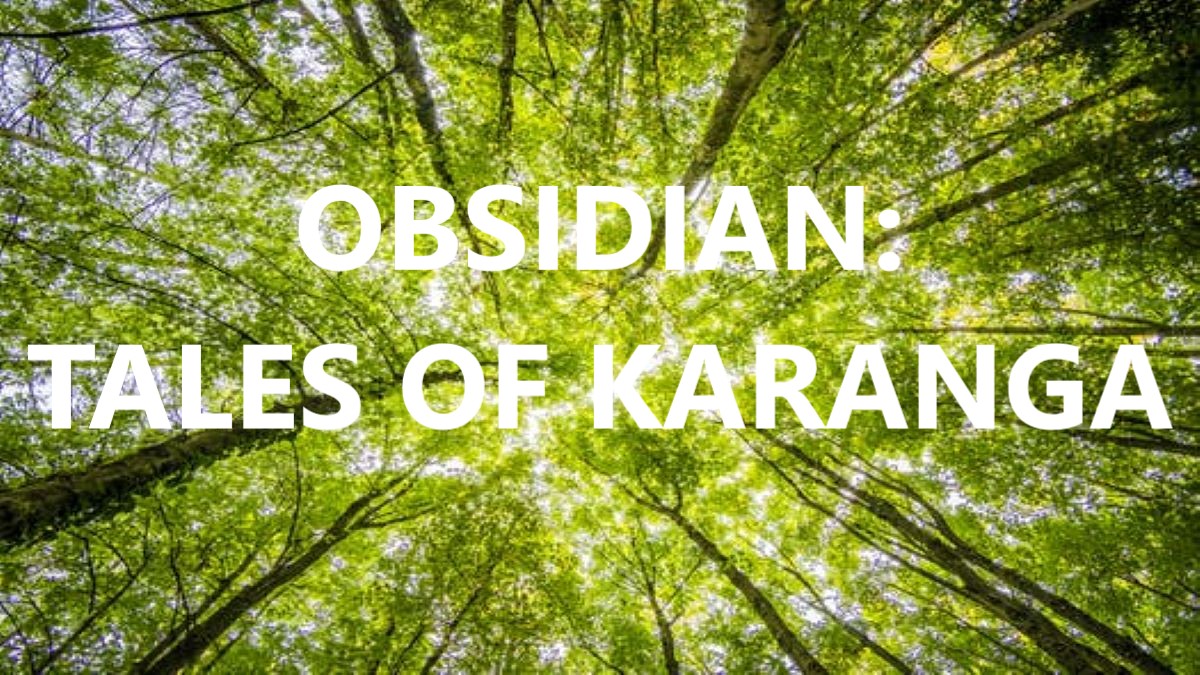 Book Review: ‘Obsidian: Tales of Karanga’ by Mike McCoy